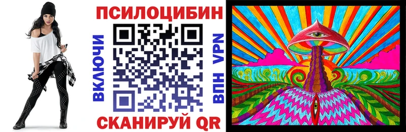 цена наркотик  Тутаев  Галлюциногенные грибы MAGIC MUSHROOMS 